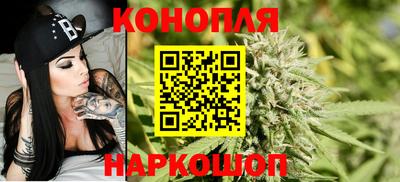 гидра Камень-на-Оби