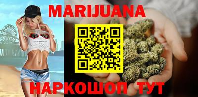 гидра Камень-на-Оби