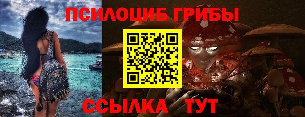 Псилоцибиновые грибы Magic Shrooms  Вход с VPN  Горячий Ключ  где найти наркотики  Псилоцибиновые грибы Cubensis 